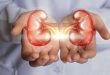 kidney specialist in Ludhiana