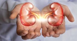 kidney specialist in Ludhiana