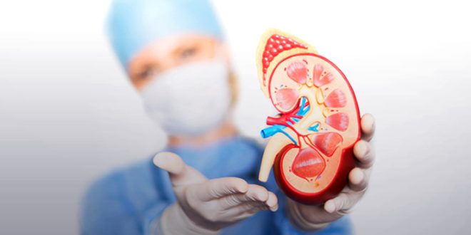 nephrologists in Ludhiana