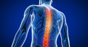 best spine surgeon in Chandigarh (Dr. Ajay Singh)