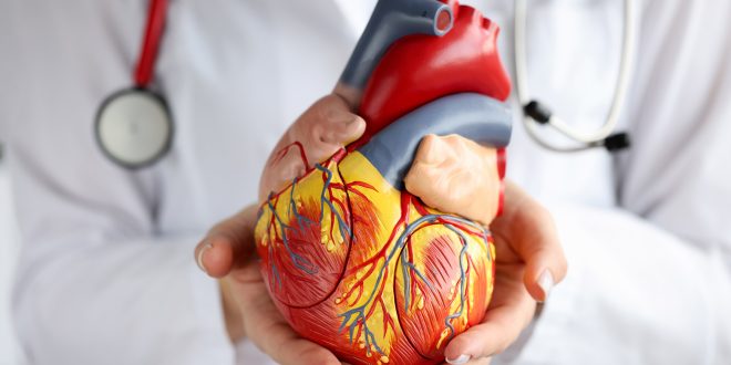 Best Cardiologist in Mohali & Panchkula