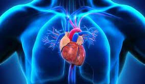Best Heart Specialist in Punjab