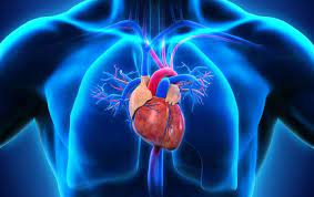 Best Heart Specialist in Punjab