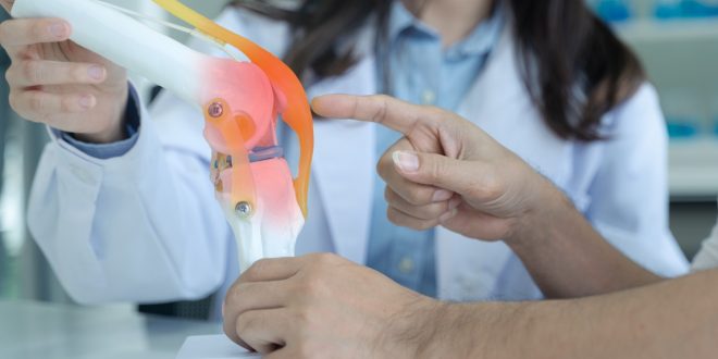 Best Knee Surgeon in Chandigarh