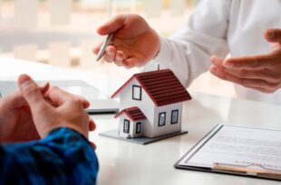 property dealers in new chandigarh