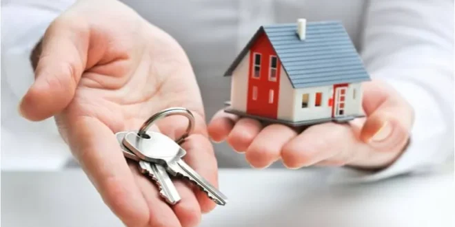 Real Estate Agent in Mohali
