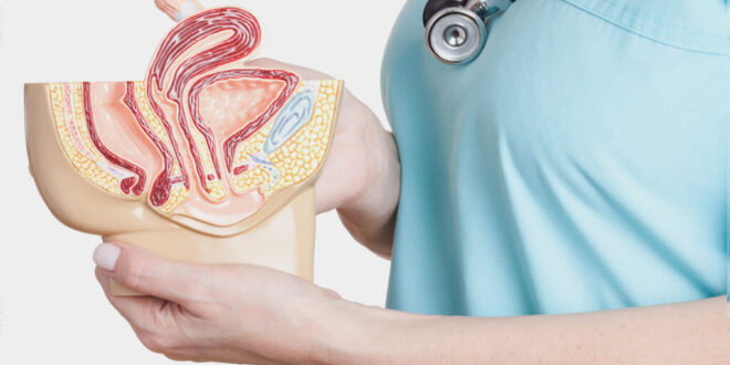 urologist in Chandigarh