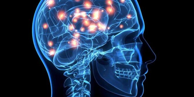 best neurosurgeon in Chandigarh