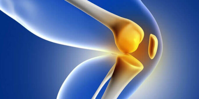 knee replacement surgeon in Mohali