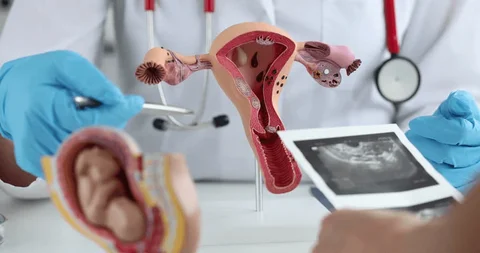 best gynaecologist in Panchkula