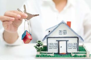 Real Estate Agent in Mohali