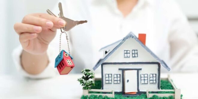 Real Estate Agent in Mohali