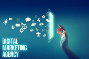 digital marketing agency in Chandigarh
