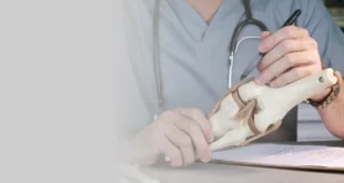 Joint Specialist Surgeon in Mumbai