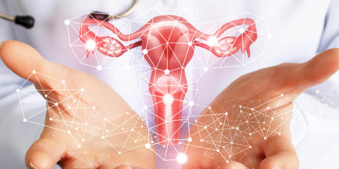 Best Gynecologist in Chandigarh
