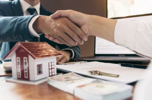 property dealers in New Chandigarh