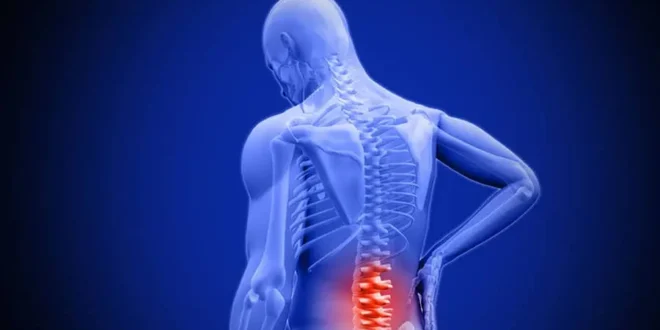 Best Treatment for Back Pain in Mumbai