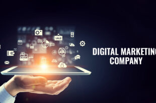 digital marketing company in Chandigarh