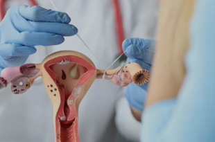 Best Gynaecologists in Panchkula