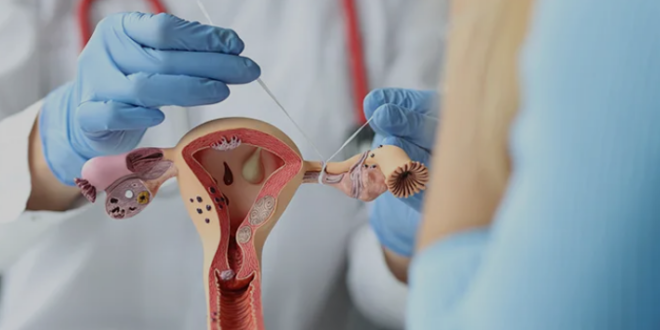 Best Gynaecologists in Panchkula