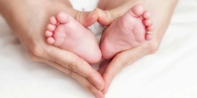 best maternity centre in Panchkula