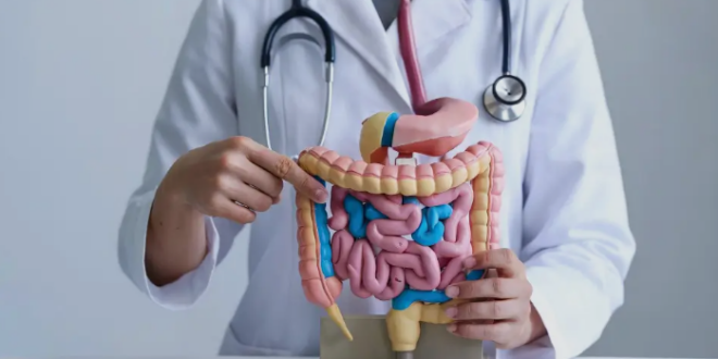 best gastroenterologist in chandigarh