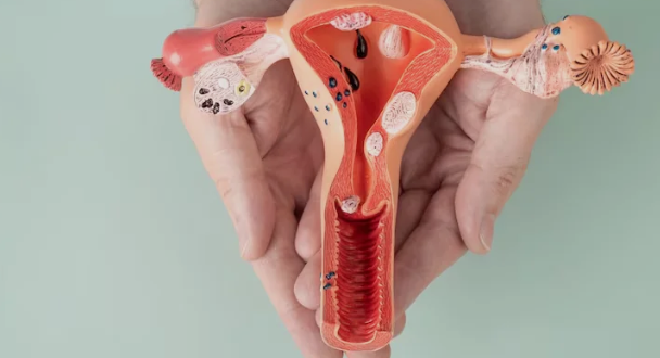 vaginal infection treatment in Chandigarh