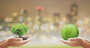 Environmental consultants in Mohali