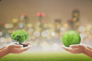 Environmental consultants in Mohali
