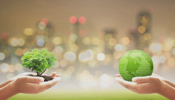 Environmental consultants in Mohali