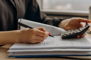 best chartered accountant in chandigarh