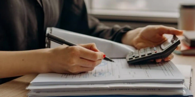 best chartered accountant in chandigarh