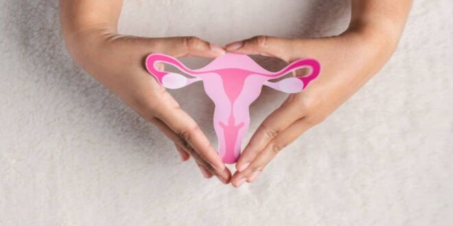 top gynaecologist in Chandigarh