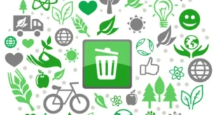 solid waste management consultant