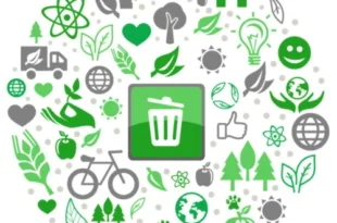 solid waste management consultant