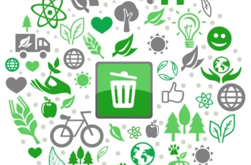 solid waste management consultant
