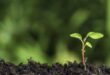 Green Audit for Colleges