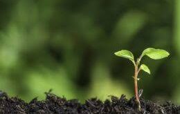 Green Audit for Colleges
