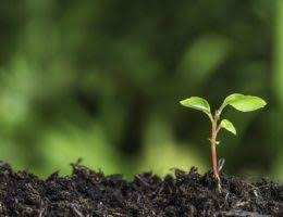 Green Audit for Colleges