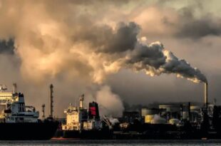 Ambient air quality monitoring services
