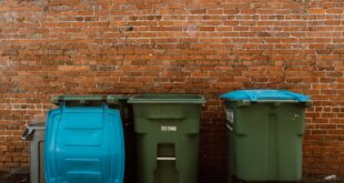 Solid waste management consultant