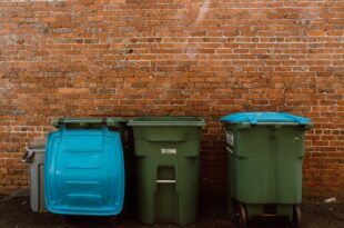Solid waste management consultant