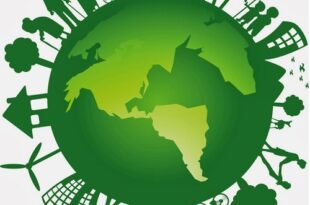 Green Audit for Colleges