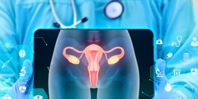 Best Gynaecologist in Chandigarh