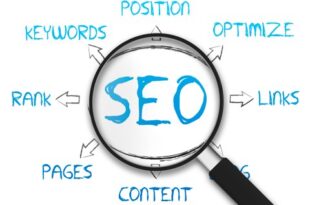 SEO Company in Chandigarh