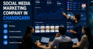 Social Media Marketing Company in Chandigarh