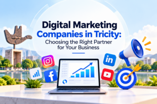 Digital Marketing Companies in Tricity